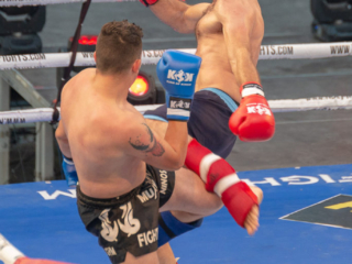 Fighter profile photo