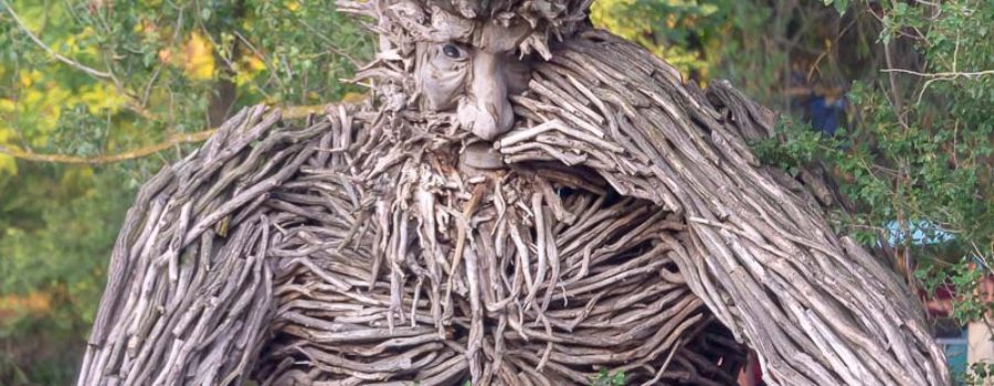 OZORA FESTIVAL 2019